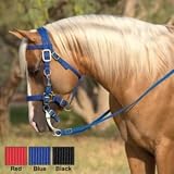 Triple E Nylon Halter Bridle Combo Headstall Blue