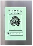 Heucheras