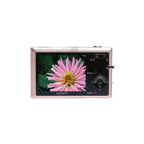 Sony CyberShot DSC-T20 8.0 Megapixel Digital Camera (Pink) with 3x Optical Zoom + High Speed USB 2.0 Memory Stick (MS) Card Reader + Digital Camera Case