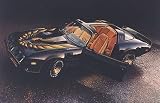 1980-81 Trans Am Kit Black Special Edition Turbo Kit-Dark GOLD