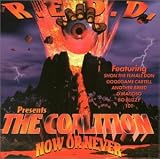  : The Coalition Now or Never