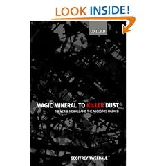 Magic Mineral to Killer Dust: Turner & Newall and the Asbestos Hazard: Turner and Newall and the Asbestos Hazard