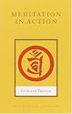 Meditation in Action (Shambhala Library)