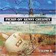 Pickin' on Kenny Chesney, Vol. 2