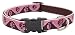Lupine Adjustable Collars Medium 3/4 in. x 12 in. - 20 in. - Tickled Pink