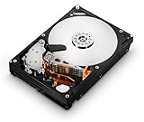 HGST Ultrastar 3.5-Inch 2TB 7200RPM SATA III 6Gbps 64MB Cache Enterprise Hard Drive with 24x7 Duty Cycle (0F14685)