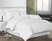 416RLSLp83L. SL75  300 Thread Count Egyptian Cotton Stripe Duvet Cover Set Size: King / California King, Color: Hunter Green