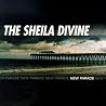Image of album by The Sheila Divine