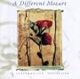 A Different Mozart
