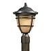 Triarch 78195-14 Head Post Mount Light, Oil Rubbed Bronze