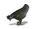 Kitchen & Housewares : Brass Hen Small
