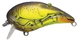 Koppers Live Target CRAWFISH Crankbait MUSTARD - 2 1/2 Deep Diver