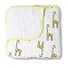 aden + anais Muslin Dream Blanket Four Layer