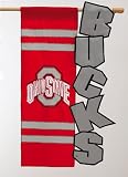 Evergreen Enterprises Ohio State Buckeyes Applique Sculpted Garden Flag