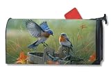 Bluebirds Mailwraps Magnetic Mailbox Cover (Standard Size)