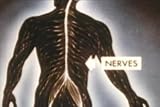 Medical Aspects of Nuclear Radiation (1950) [DVD] - Nuclear Weapon Radiation Effects, Radiation Sickness & Civil Defense during the 1950s Film