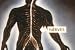 Medical Aspects of Nuclear Radiation (1950) [DVD] - Nuclear Weapon Radiation Effects, Radiation Sickness & Civil Defense during the 1950s Film