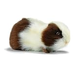 Eigenschaften Han Intl. / Hansa Stofftier - Meerschweinchen braun/weiß 20 cm