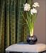 Paperwhite Nir in a Blue Glass Twinkle Bowl - New