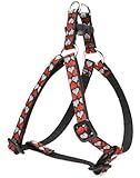 LupinePet 1/2" Love Struck 12-18 Step In Dog Harness
