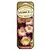AMERICAN COVERS 6715 Trop Scented Necklace