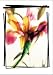 Search : Irises Journal