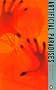 Artificial Paradises: A Drugs Reader
