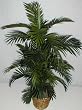 NEW! 4' Tropical Areca Palm Tree