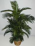 NEW! 4' Tropical Areca Palm Tree