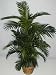 NEW! 4' Tropical Areca Palm Tree