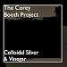 Colloidal Silver & Vinegar