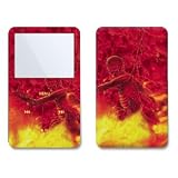 Hellbound Design iPod classic 80GB/ 120GB Protector Skin Decal Sticker