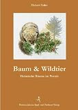 Baum und Wildtier: Heimische Bäume im Porträt