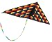 50 America II Delta Kite