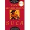 Unsurpassed Black Fiction