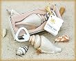 Bottle Opener Shore Memories Sea Shell with Thank you Tag (24 per order) Wedding Favors