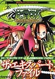 シャーマンキングカードゲーム超・占事略決公式カードカタログザ・エキスパートファイル (週刊少年ジャンプスペシャルブック)