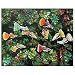 NOVICA Realist Painting - 'Seven Guppies'