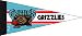 Basketball Pennants: NBA Mini Memphis Grizzlies Pennant