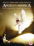 Angels In America (HBO) [2003] [DVD]