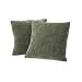 Set of 2 Chenille Knife-Edge Toss Pillows - Moss Image