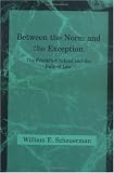 Between the Norm and the Exception: The Frankfurt School and the Rule of Law (Studies in Contemporary German Social Thought)