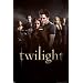 Twilight (Group) Movie Poster Print - 24" X 36" Collections Poster Print, 24x36