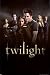 Twilight (Group) Movie Poster Print - 24" X 36"