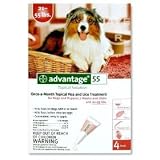 Advantage - Red Box for Dogs 21-55 pounds - 4 count by Advantage