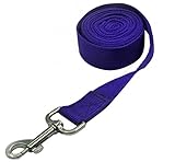 Pet Cuisine Nylon Long Dog Walking Leash For Harness Collar Cat Puppy Training Lead Rope 8 Feet Blue
