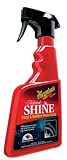 Review Meguiar's G4116-6PK / Meguiar's G4116 Protectant Natural Shine 16 oz., pack of 6