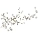 RoomMates RMK1677GM Silver Dollar Branch Peel and Stick Giant Wall Decal