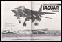 Sepecat Jaguar (Modern Combat Aircraft)
