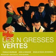 L'Essentiel : Les Negresses Vertes